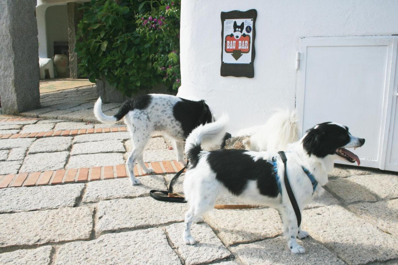 Hotel Luci Di La Muntagna Porto Cervo Eksteriør billede